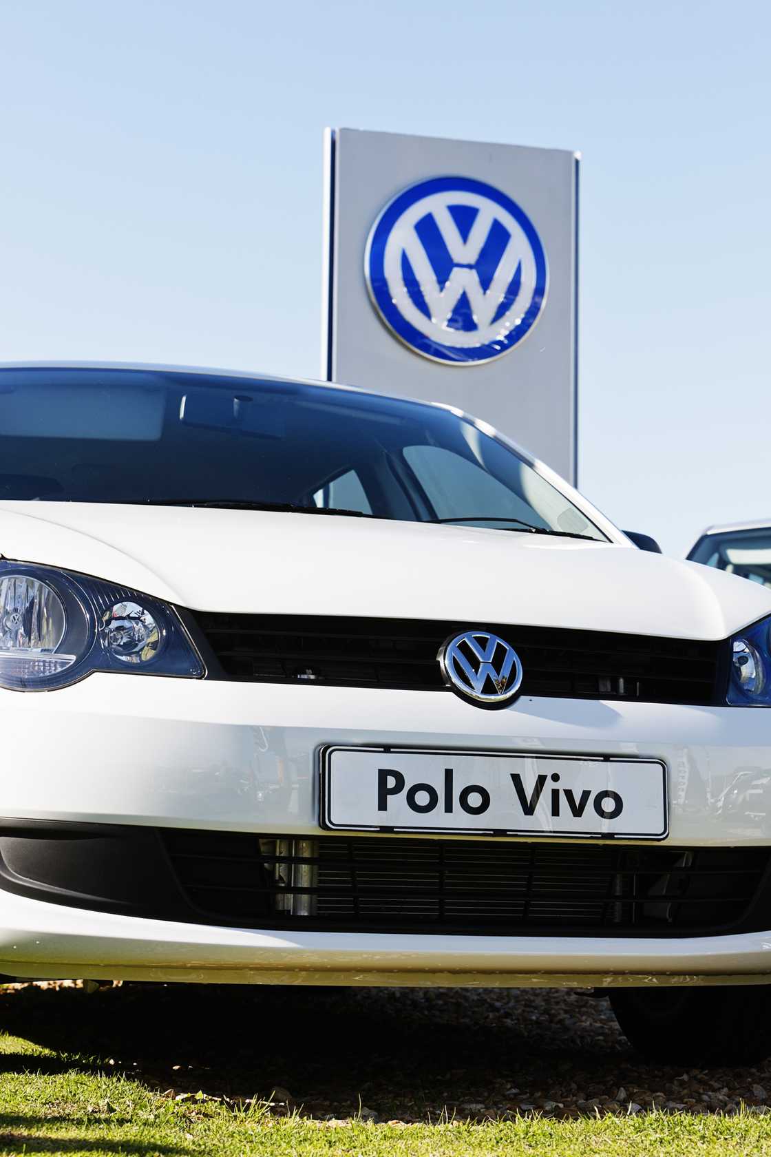 Polo Vivos purchased between February 2025 and February 2026 have been recalled