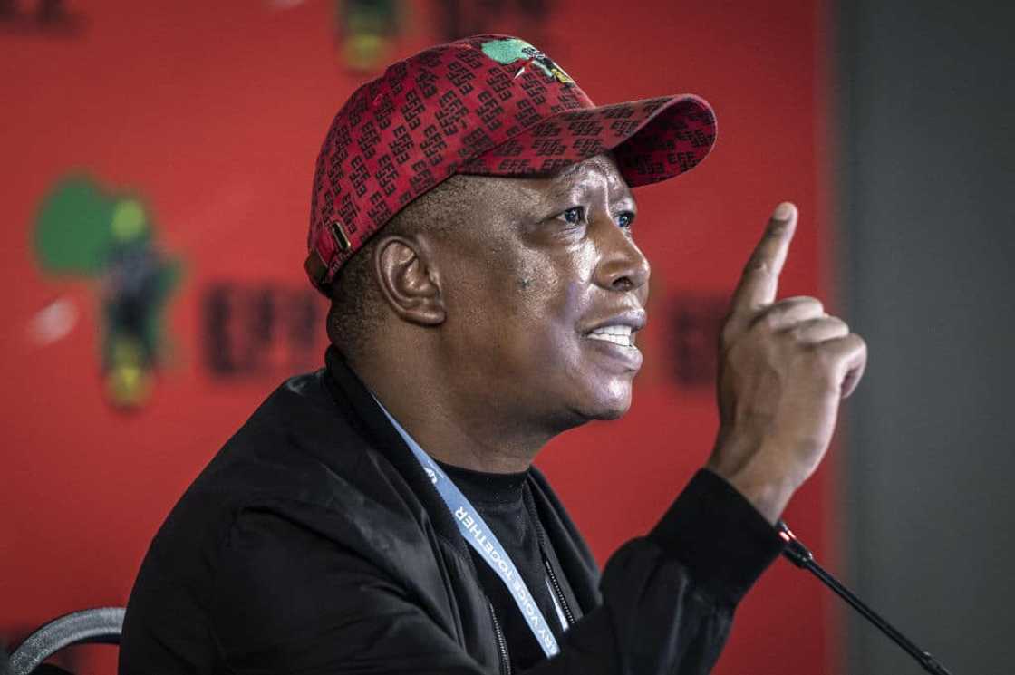 EFF, local government election, Tembisa, Julius Malema EFF, local government election, Tembisa, Julius Malema