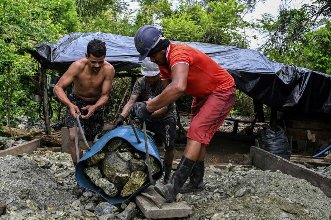 Former Brazilian president Jair Bolsonaro talked of legalizing wildcat mines, a move opposed by environmentalists and his successor Luiz Inacio Lula da Silva Former Brazilian president Jair Bolsonaro talked of legalizing wildcat mines, a move opposed by environmentalists and his successor Luiz Inacio Lula da Silva
