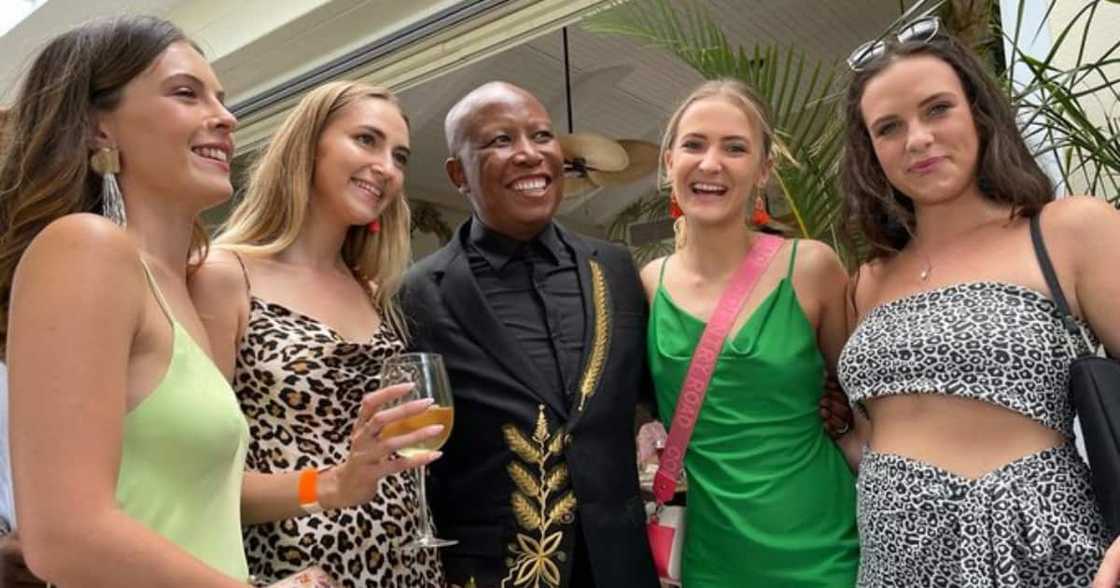 Julius Malema, social media, Mzansi Julius Malema, social media, Mzansi