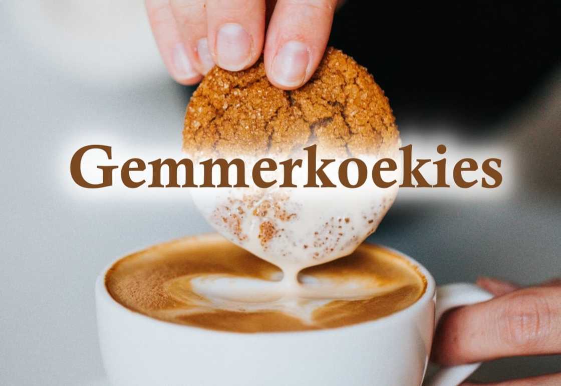 Tradisionele gemmerkoekies resep Tradisionele gemmerkoekies resep