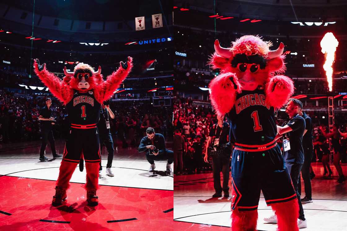 Benny the Bull Benny the Bull
