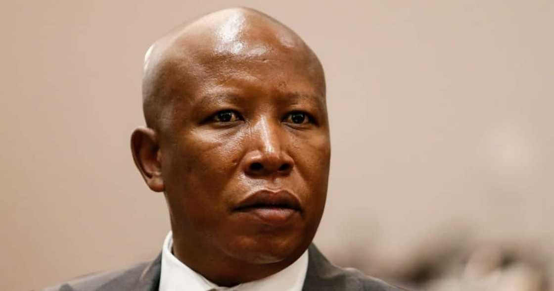 Julius Malema, EFF, Economic Freedom Fighters, South Africa, politics, cash-in-transit heist, crime, murder, police shootout, police, SAPS, South African Police Service