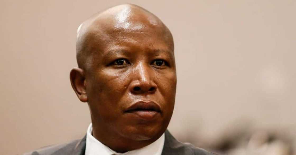Julius Malema, EFF, Economic Freedom Fighters, South Africa, politics, cash-in-transit heist, crime, murder, police shootout, police, SAPS, South African Police Service Julius Malema, EFF, Economic Freedom Fighters, South Africa, politics, cash-in-transit heist, crime, murder, police shootout, police, SAPS, South African Police Service