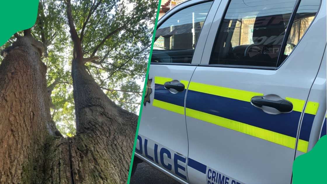 Man allegedly stabs and kills girlfriend in North West and hangs himself Man allegedly stabs and kills girlfriend in North West and hangs himself
