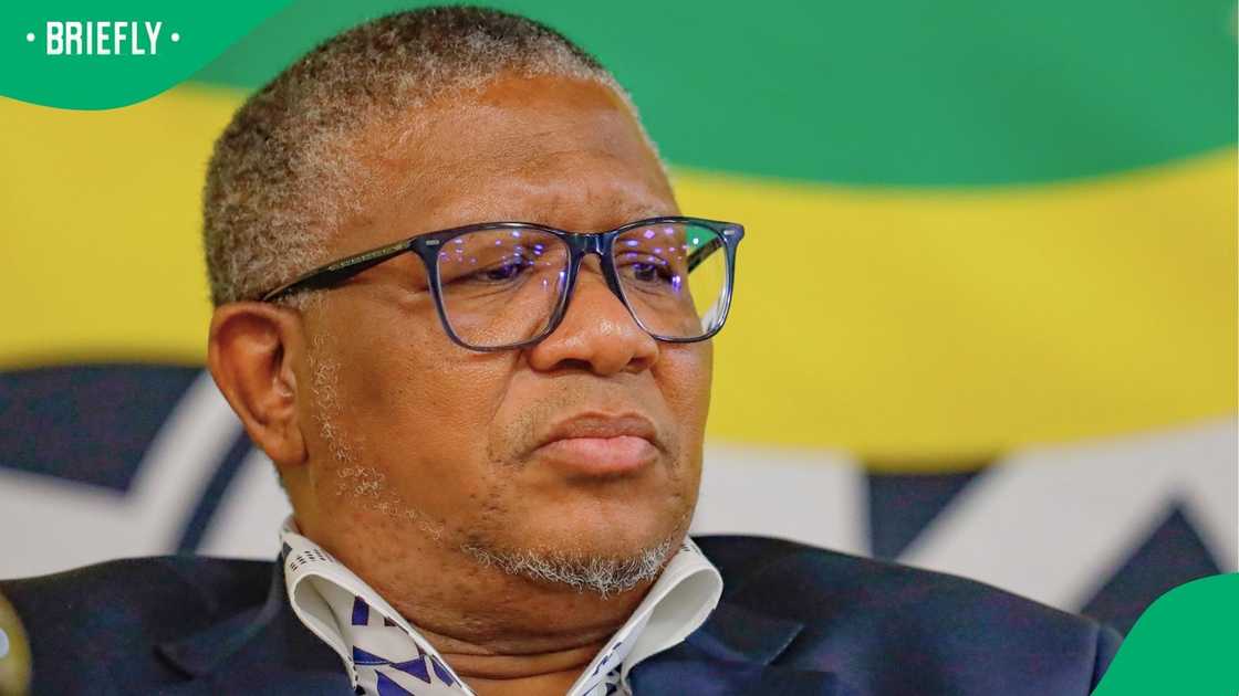 Fikile Mbalula is taking Brown Mogotsi to court Fikile Mbalula is taking Brown Mogotsi to court