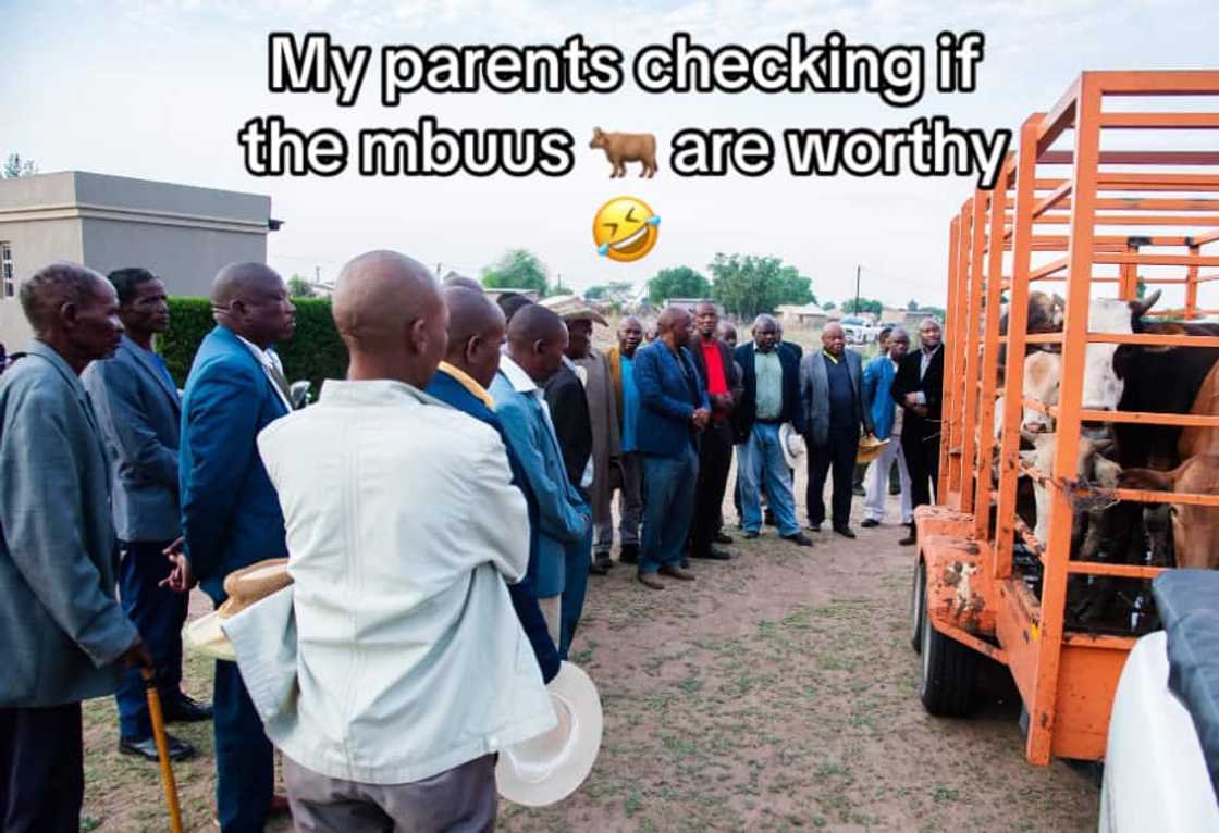 TikTok users showed off Tswana lobola negotiations. TikTok users showed off Tswana lobola negotiations.
