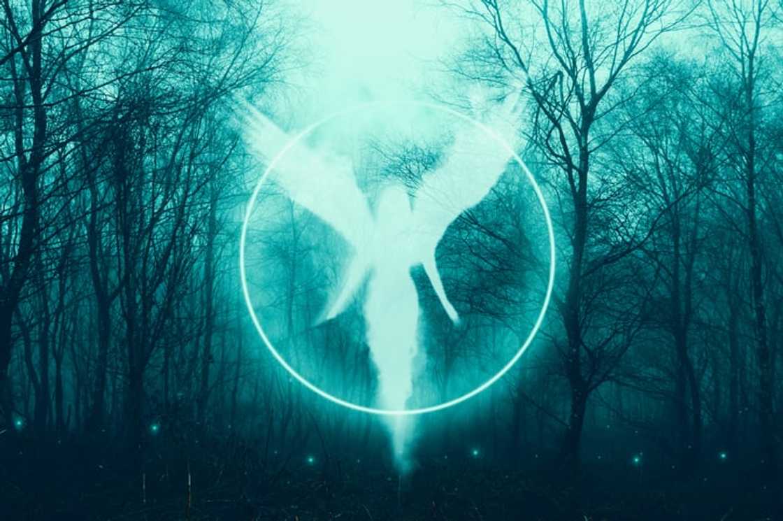 A glowing female angel floating in a mysterious forest A glowing female angel floating in a mysterious forest