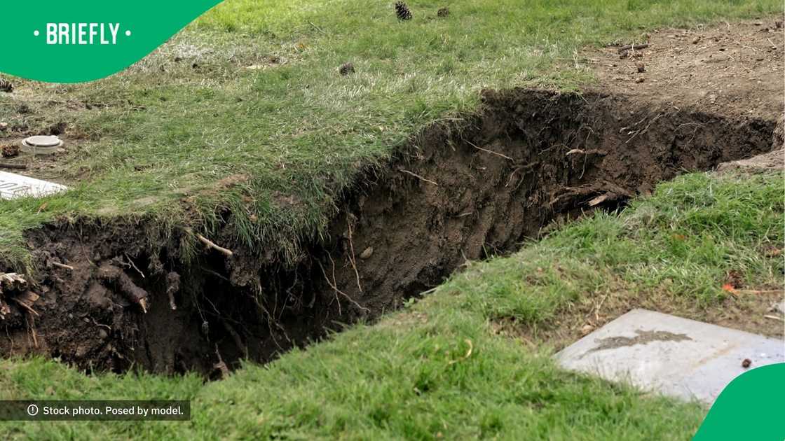 SA outraged by unhinged behaviour SA outraged by unhinged behaviour