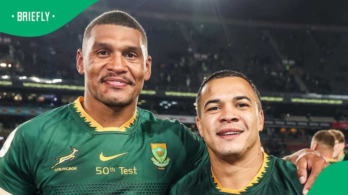 Springboks, South Africa, Cheslin Kolbe, Damian Willemse