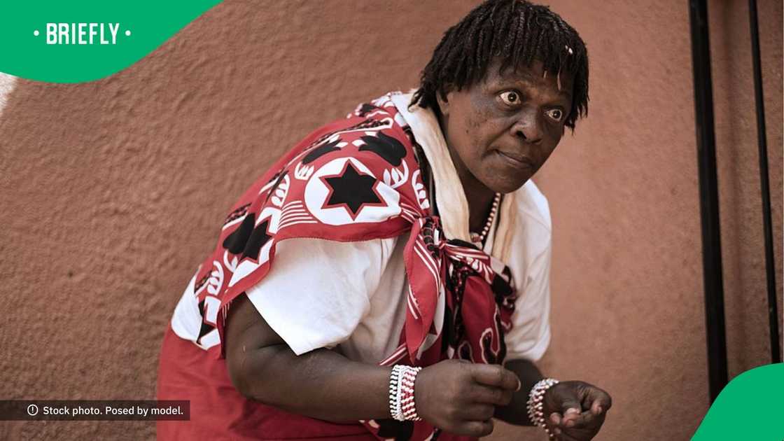 Mzansi gives traditional healers the go-ahead Mzansi gives traditional healers the go-ahead
