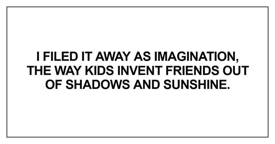 I filed it away as imagination I filed it away as imagination