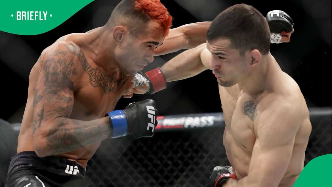 Godofredo Pepey, UFC, Mirsad Bektic Godofredo Pepey, UFC, Mirsad Bektic