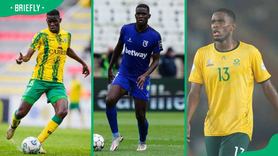 Sphephelo Sithole's stats Sphephelo Sithole's stats
