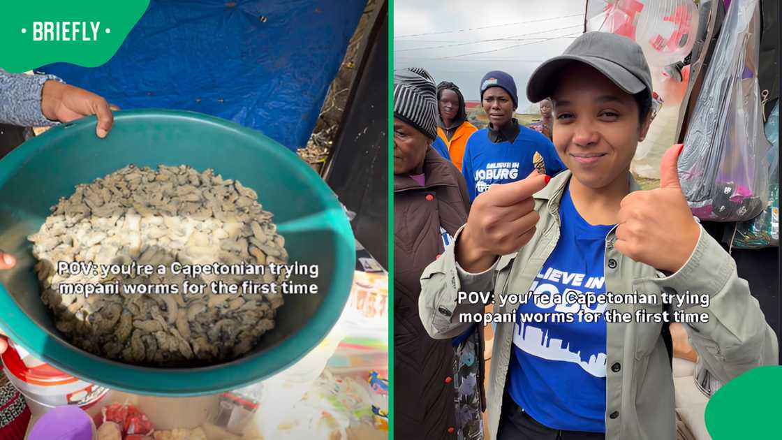 Brains behind Helen Zille’s social media campaign tries mopani worms for first time