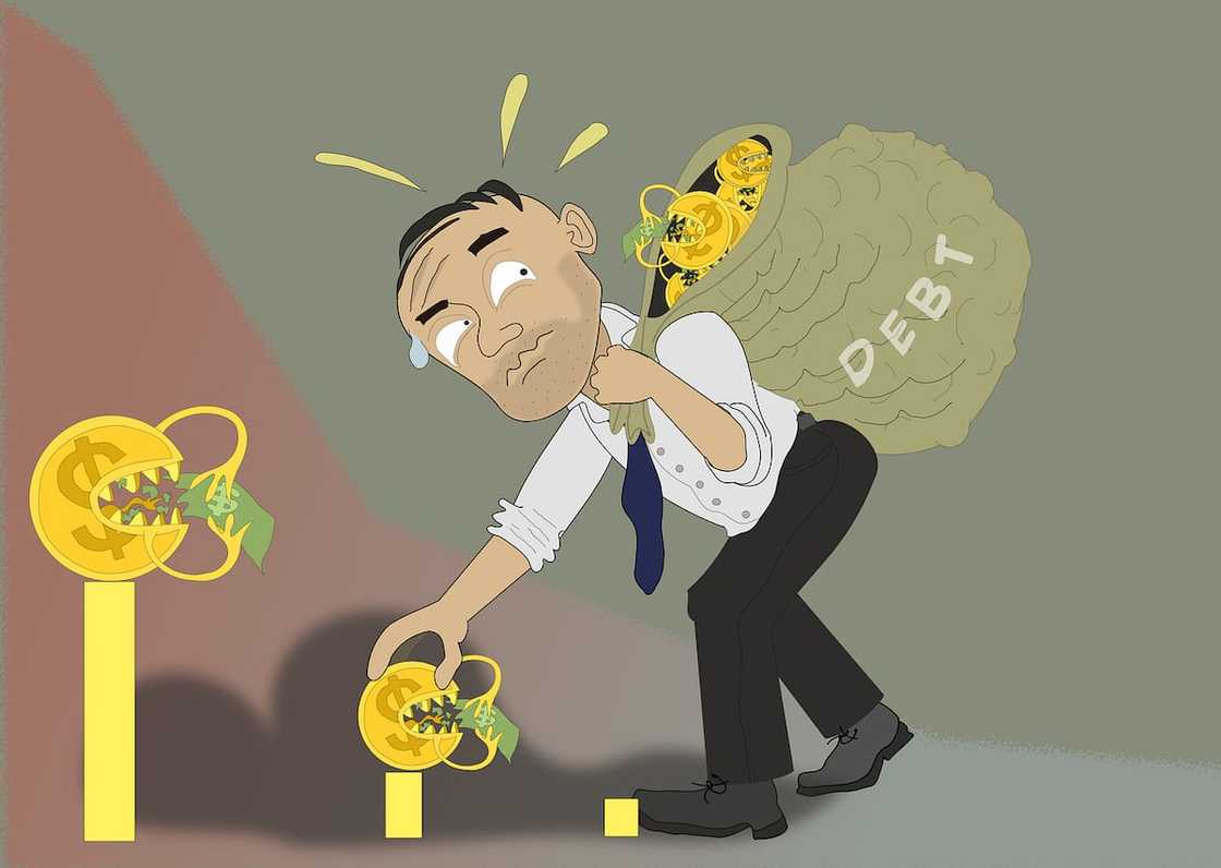 Cobol loans Cobol loans