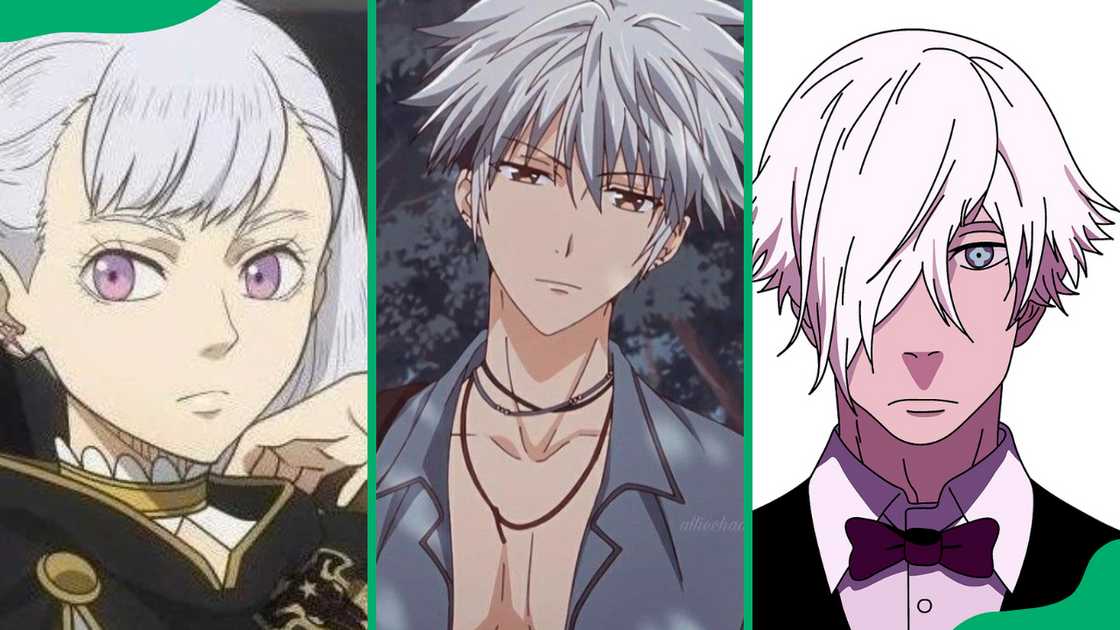 Popular anime characters with white hair Popular anime characters with white hair