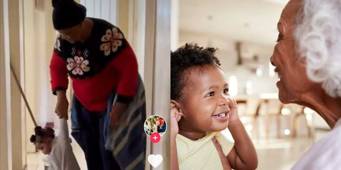 An old lady was disturbed by her granddaughter as she tried to clean.