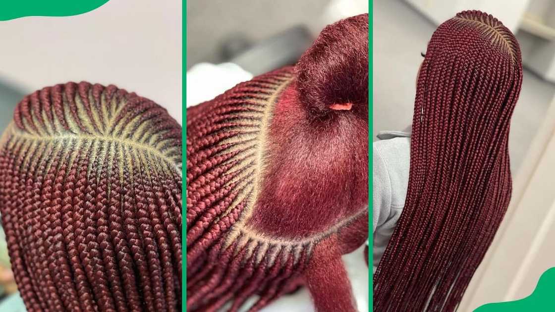 Tribal Feed-Ins Tribal Feed-Ins