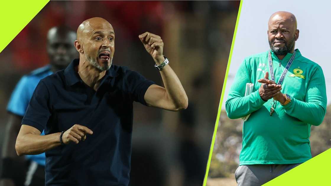 Miguel Cardoso has replaced Manqoba Mngqithi as head coach of Mamelodi Sundowns. Miguel Cardoso has replaced Manqoba Mngqithi as head coach of Mamelodi Sundowns.