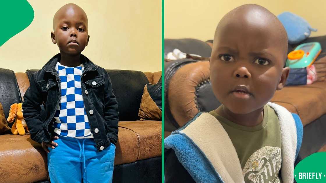 The toddler said he did not love his gogo more than his mother, like a certain parent said when she saw him The toddler said he did not love his gogo more than his mother, like a certain parent said when she saw him