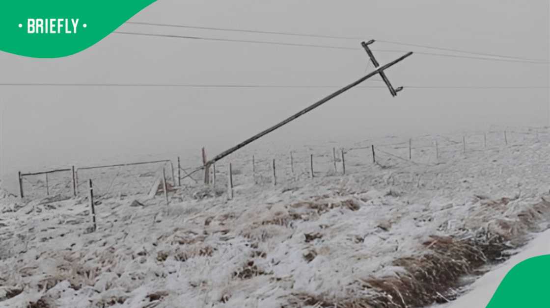 Eskom warned that power cuts would continue in the Eastern Cape due to snow