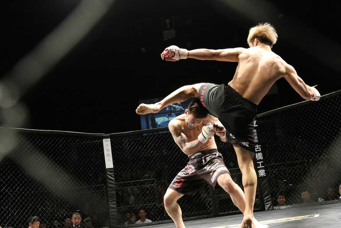 best MMA fighters best MMA fighters