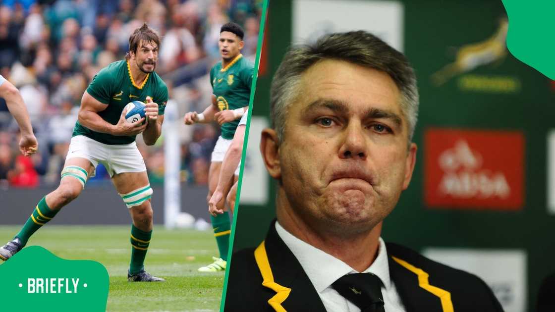 Springboks, Heyneke Meyer, Eben Etzebeth, South Africa Springboks, Heyneke Meyer, Eben Etzebeth, South Africa