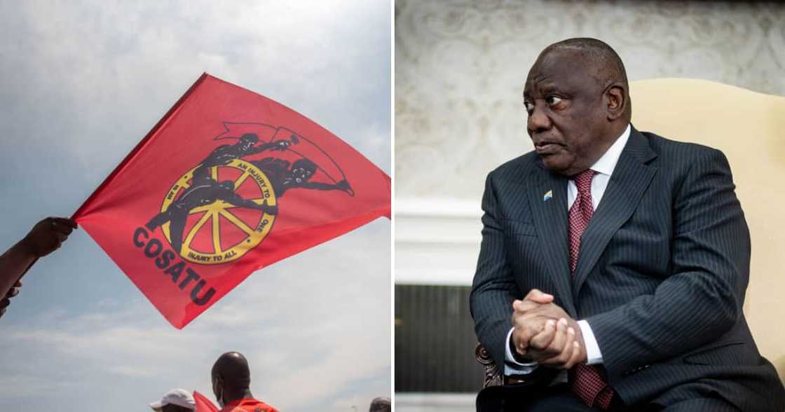 Cosatu decided to back the ANC ahead of the 2024 general elections Cosatu decided to back the ANC ahead of the 2024 general elections