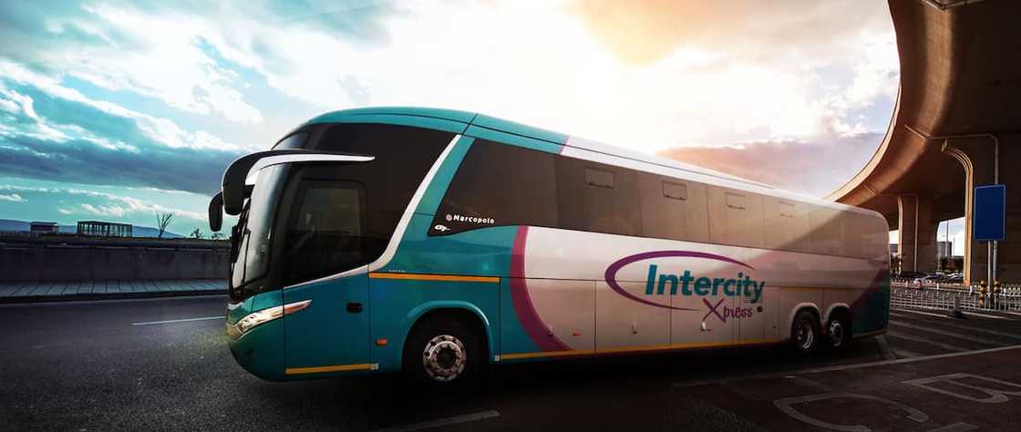 List of bus companies in South Africa | best long-distance buses List of bus companies in South Africa | best long-distance buses