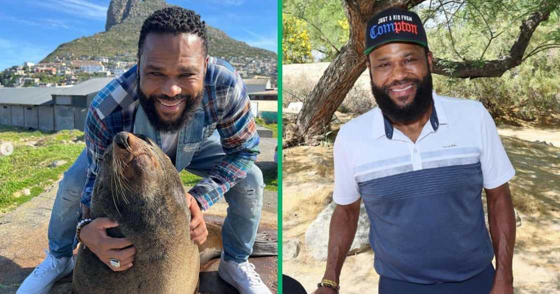 Mzansi appreciated Anthony Anderson for visiting CPT. Mzansi appreciated Anthony Anderson for visiting CPT.