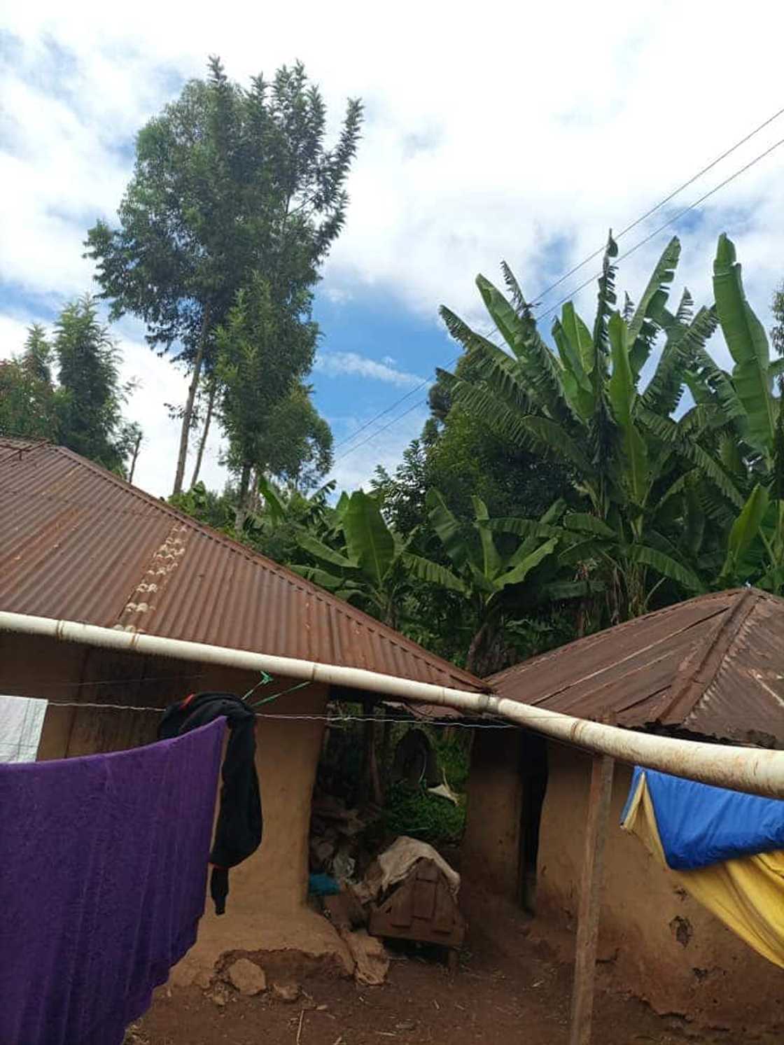 Woman who grew up in mud-walled house builds parents beautiful bungalow Woman who grew up in mud-walled house builds parents beautiful bungalow