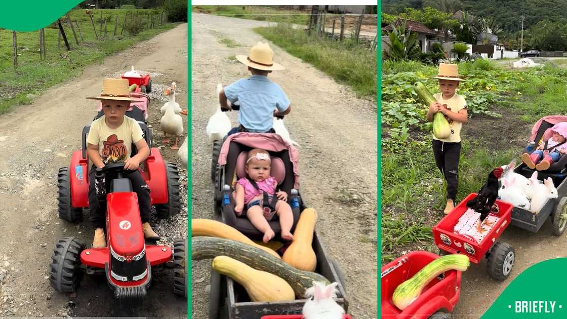 Social media users loved how much a young boy enjoyed spending time with his baby sister