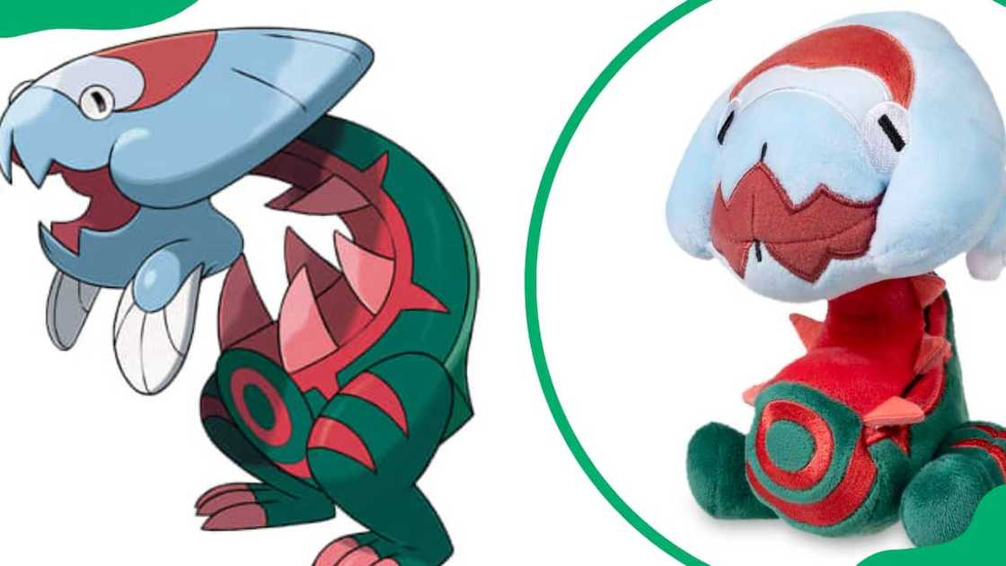 Dracovish Pokemon Dracovish Pokemon