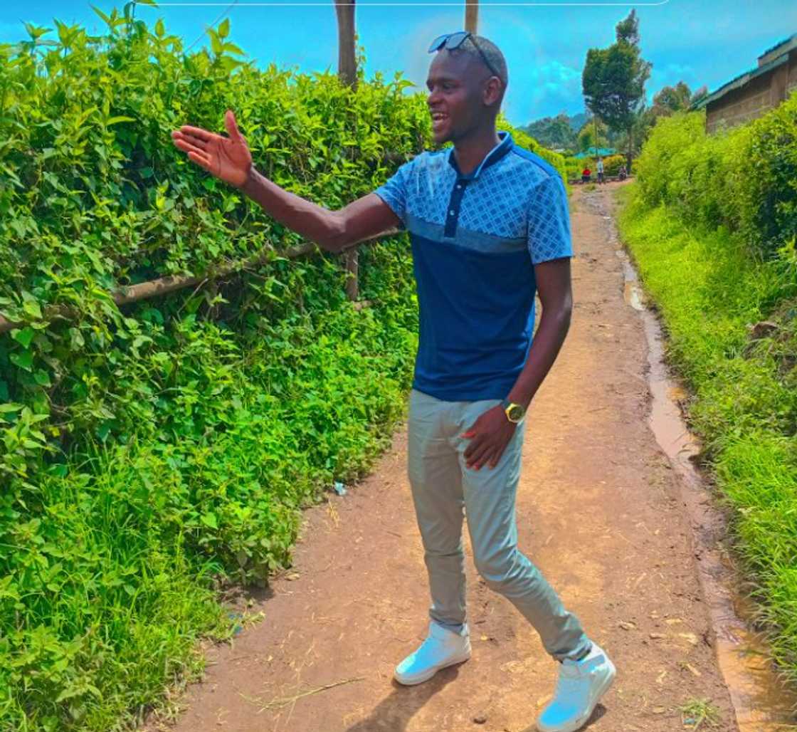 Social media users were shocked after seeing a lion close to a residential area Social media users were shocked after seeing a lion close to a residential area