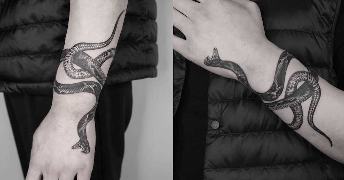 Snake Snake