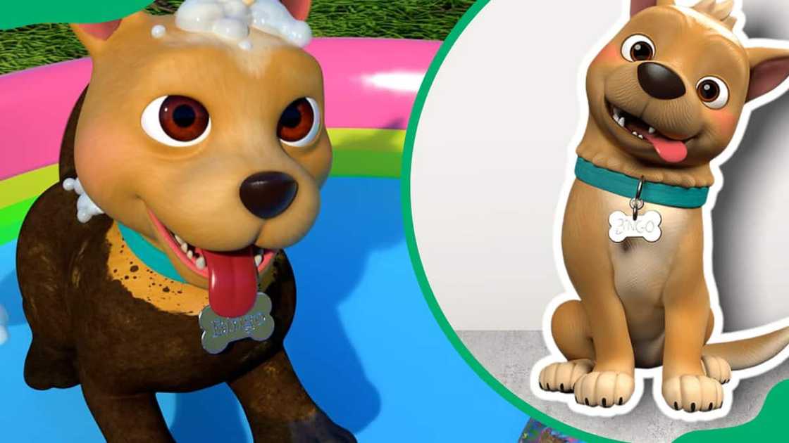 Bingo is the family dog of Cocomelon Bingo is the family dog of Cocomelon