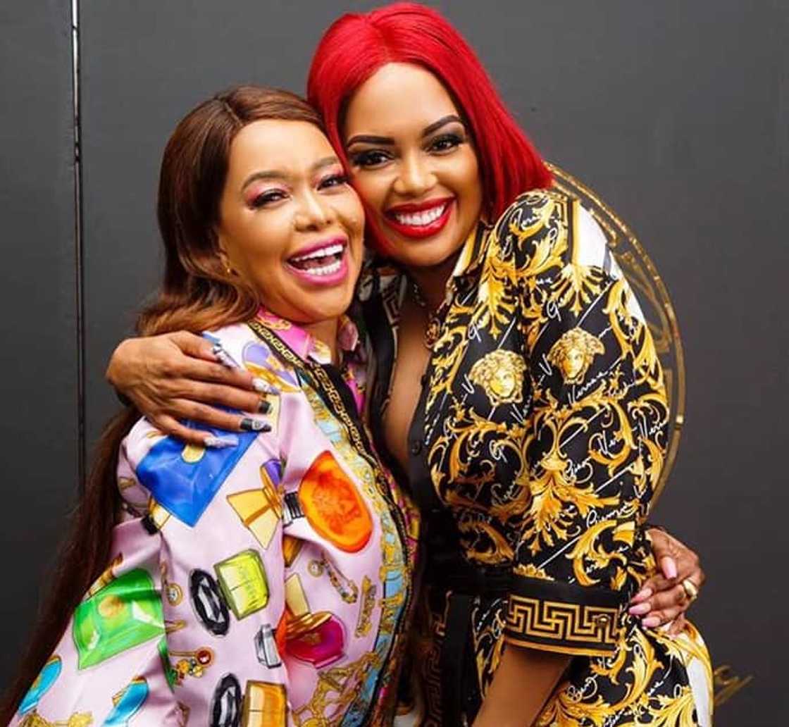 housewives of johannesburg housewives of johannesburg