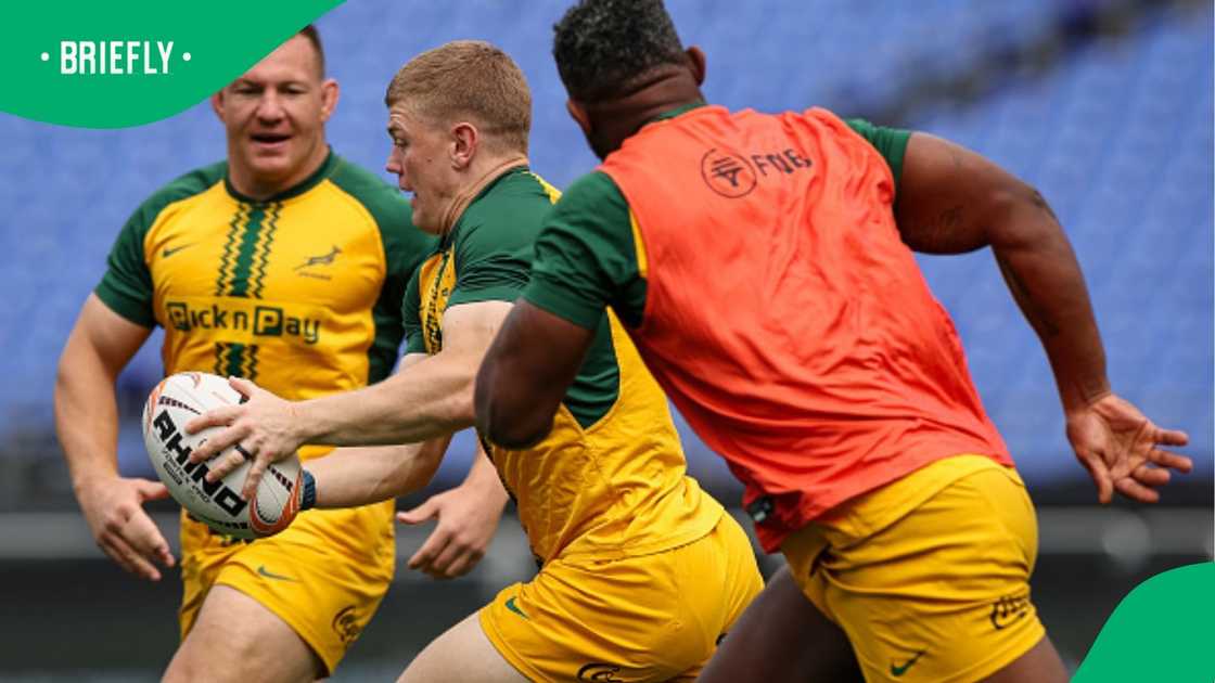 Springboks, South Africa, Siya Kolisi