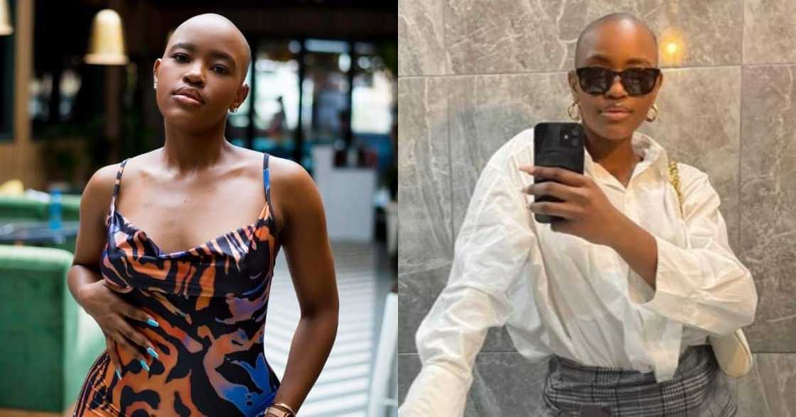Bald beauty, shaved head, stunning woman, natural beauty, South African woman, viral post, trending pictures, viral pictures Bald beauty, shaved head, stunning woman, natural beauty, South African woman, viral post, trending pictures, viral pictures