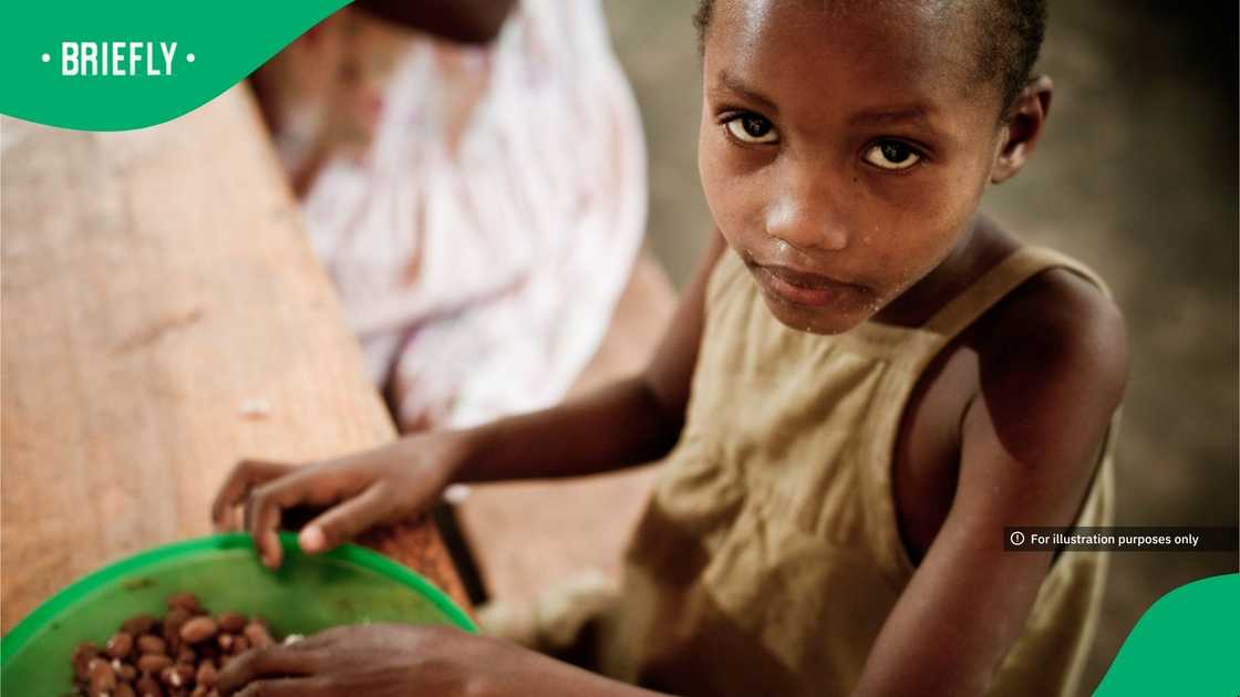 The latest State of Food Security and Nutrition in the World 2026 (SOFI 2026) report found that 7.8% of the world’s population experienced hunger in 2025, down from 8.1% in 2024 and 8.6% in 2022 The latest State of Food Security and Nutrition in the World 2026 (SOFI 2026) report found that 7.8% of the world’s population experienced hunger in 2025, down from 8.1% in 2024 and 8.6% in 2022
