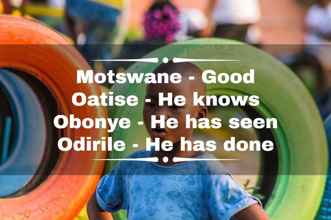 What is the Tswana name for King? What is the Tswana name for King?