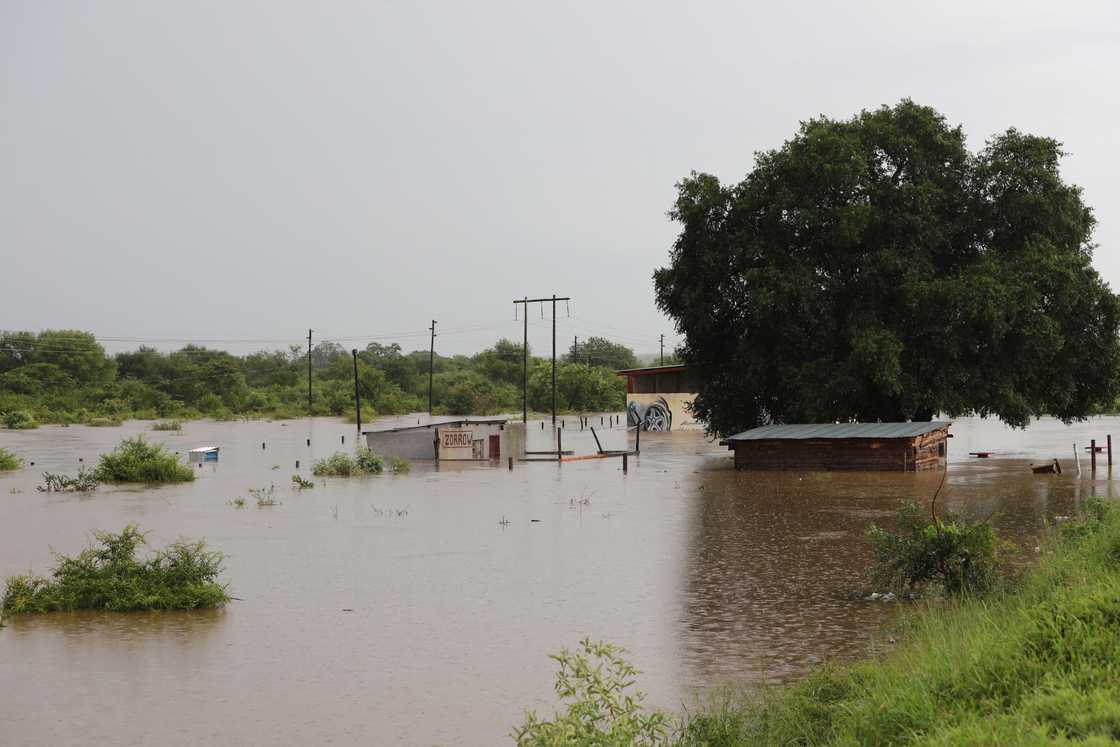 The floods which devastated Limpopo and Mpumalanga were declared a national disaster The floods which devastated Limpopo and Mpumalanga were declared a national disaster