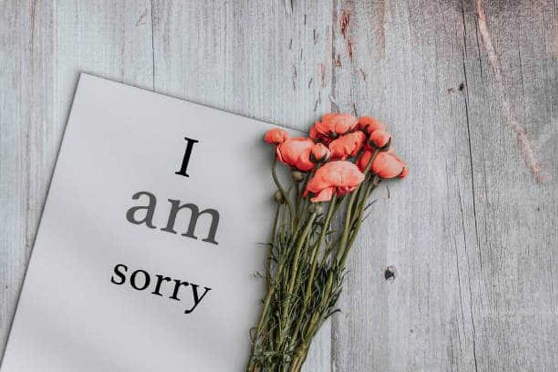How do you apologize for deeply hurting someone? How do you apologize for deeply hurting someone?