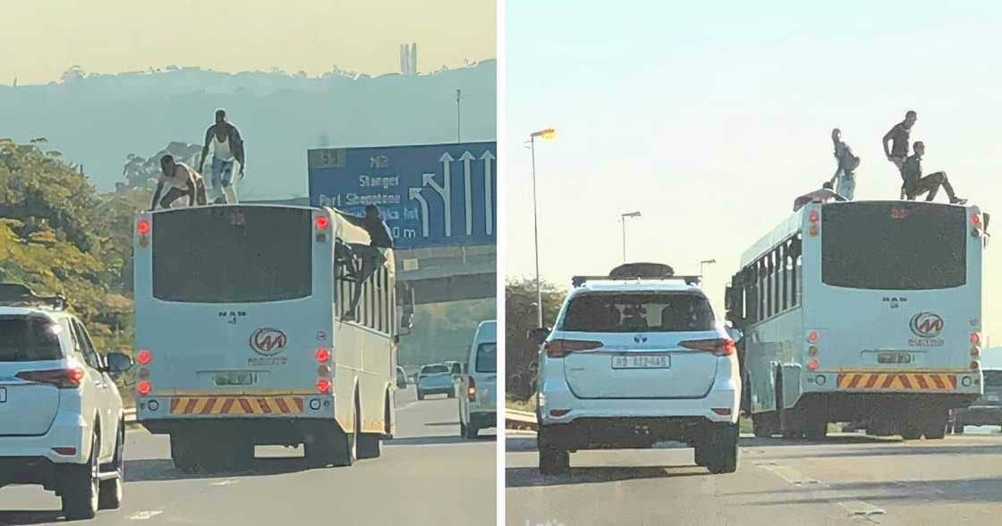 dancing, bus, durban, highway, south africa, youth