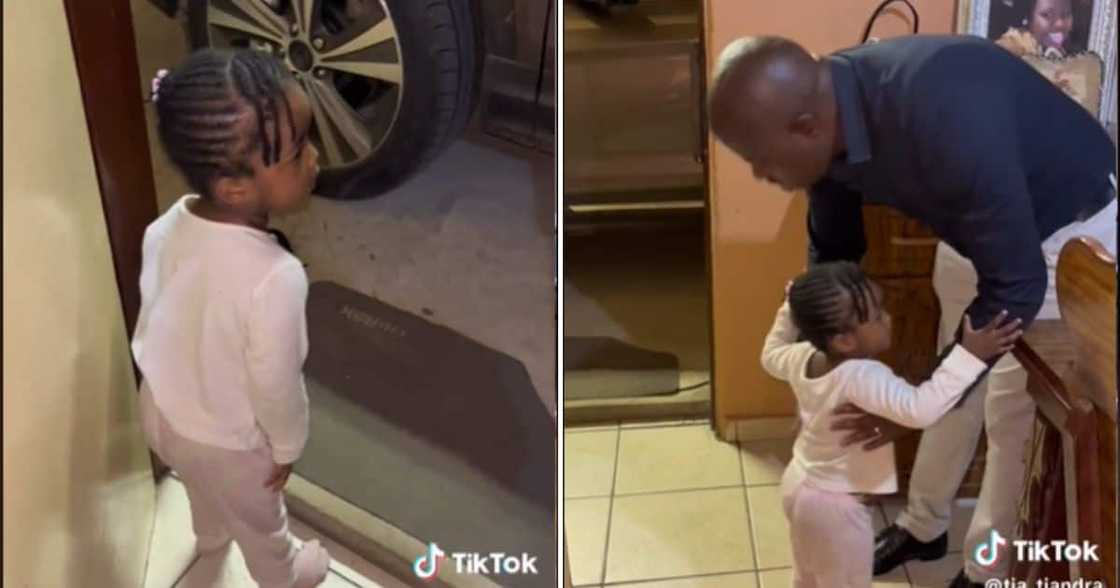 adorable tot celebrates dad's return home