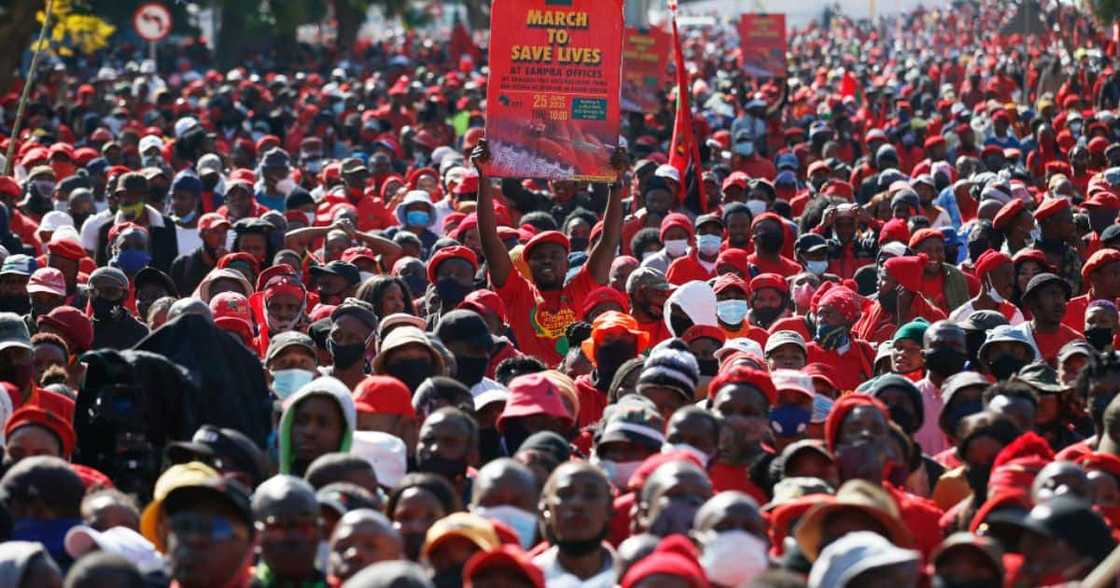 EFF plan picket outside Public Protector office EFF plan picket outside Public Protector office