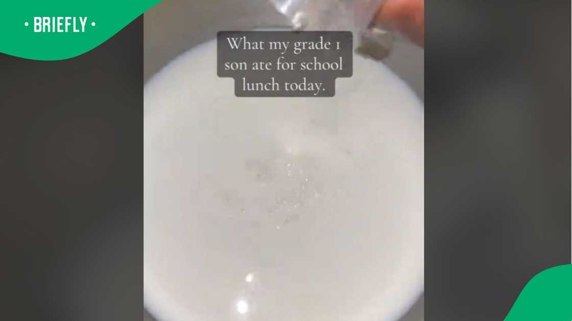 Mom's school lunch prep goes viral.