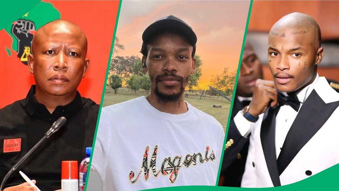 Nota Baloyi fired shots at Julius Malema and Shebeshxt Nota Baloyi fired shots at Julius Malema and Shebeshxt