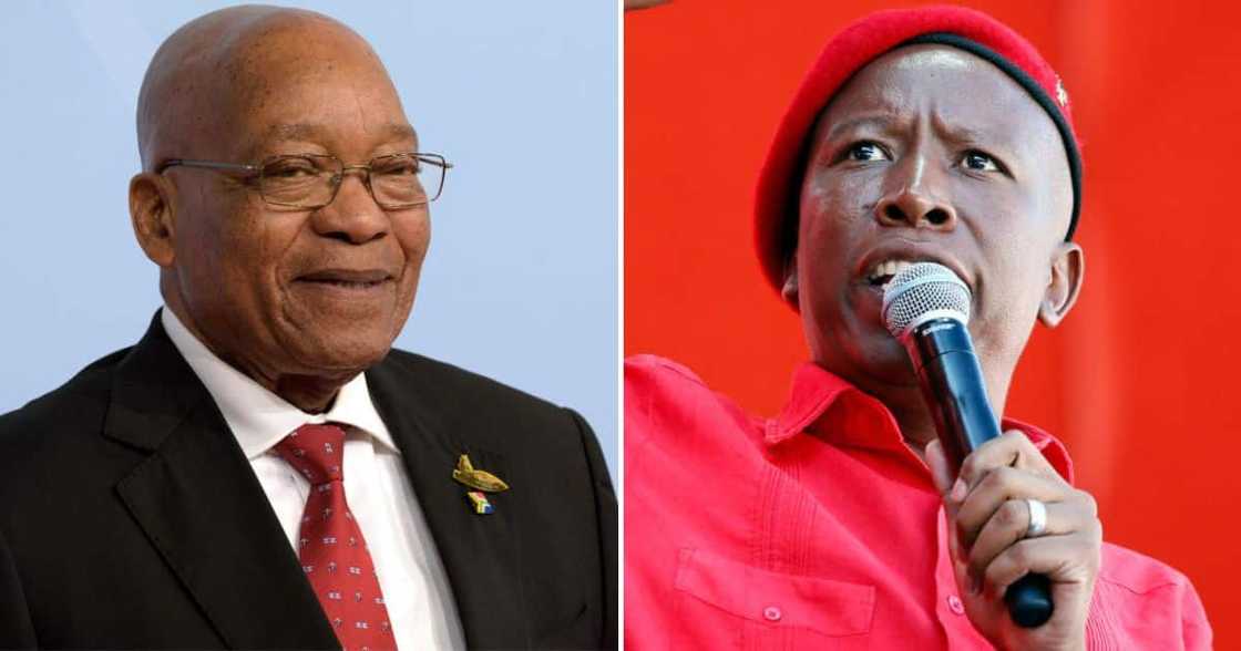 Malema said he hopes Zuma will join the EFF as a member Malema said he hopes Zuma will join the EFF as a member